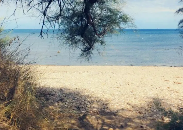 Loggia Et Terrasse Secteur Prise Des Falaises